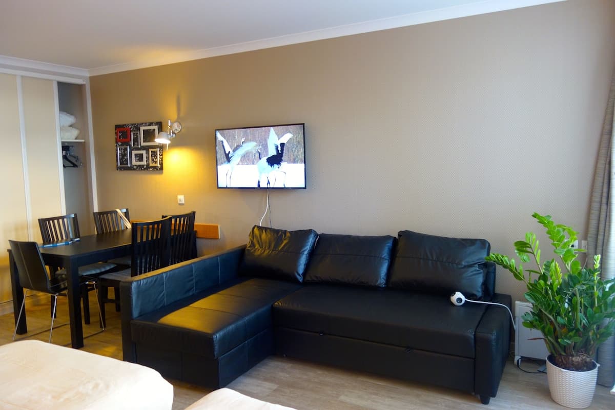 Very quiet studio 33 m2 Paris Porte de Versailles