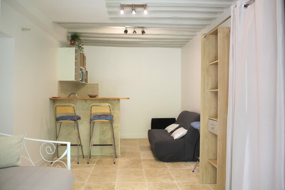 Flat in a tree-filled courtyard near the Marais