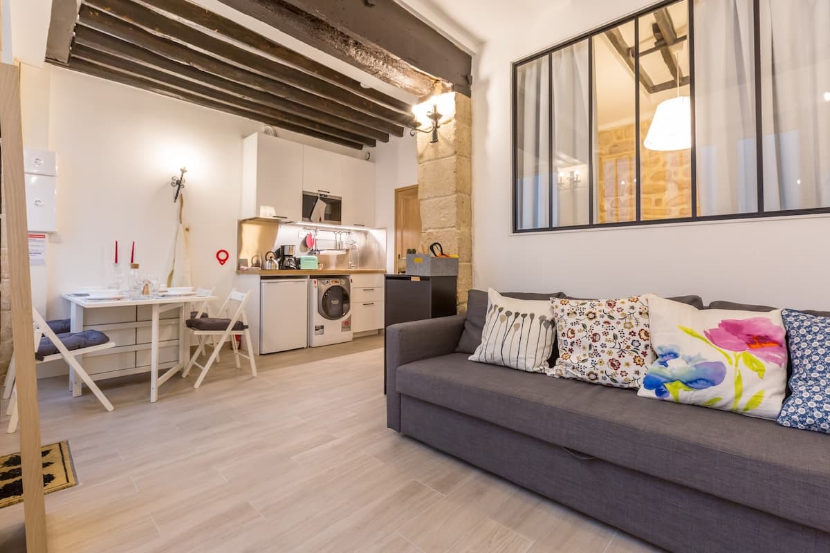 Beautiful apartment near Pont Neuf