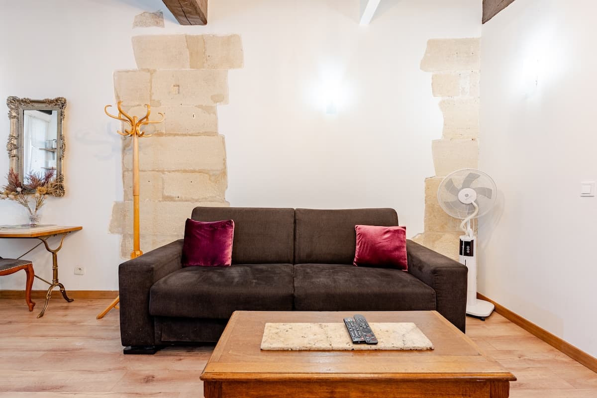 Louvre's Apartment. Paris center.