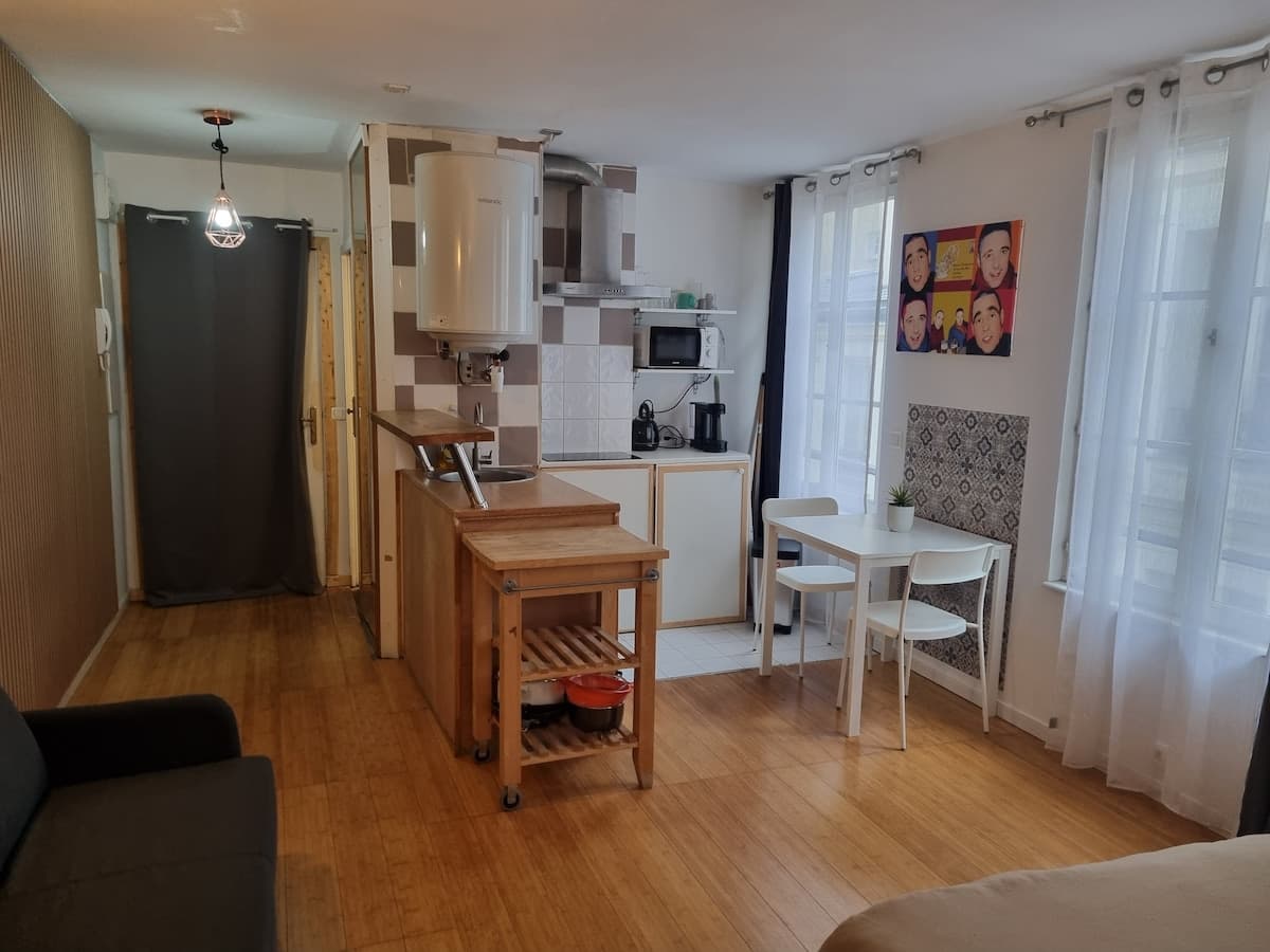 Large bright studio in the heart of Paris